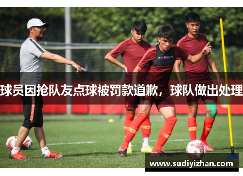 球员因抢队友点球被罚款道歉，球队做出处理